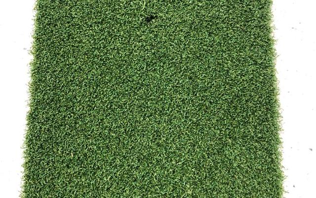 WhatsApp_Image_2021_02_01_at_10.30.30_1612180928