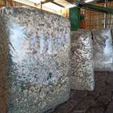 Agulhas Biomass Fuel - Xplorioâ„¢ Bredasdorp