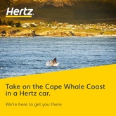 Take on the Cape Whale Coast in a Hertz car - Hertz Rent a Car - Xplorioâ„¢ Hermanus