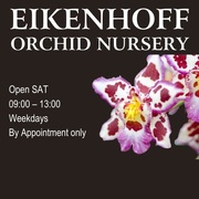 We are open on Saturdays!