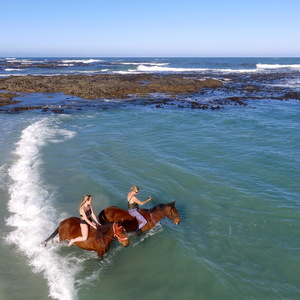 Gansbaai & Pearly Beach Horse Trails