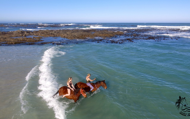 Gansbaai & Pearly Beach Horse Trails