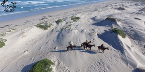 Gansbaai & Pearly Beach Horse Trails