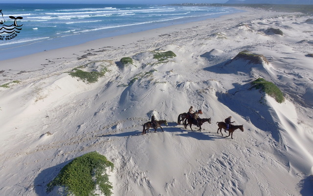 Gansbaai & Pearly Beach Horse Trails