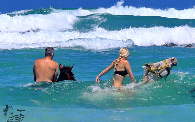 Gansbaai & Pearly Beach Horse Trails