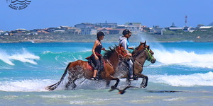 Gansbaai & Pearly Beach Horse Trails