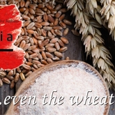 Even the wheat is Italian! - Dal-Italia - Xplorioâ„¢ Hermanus