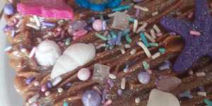 Sea_shells_1612512834