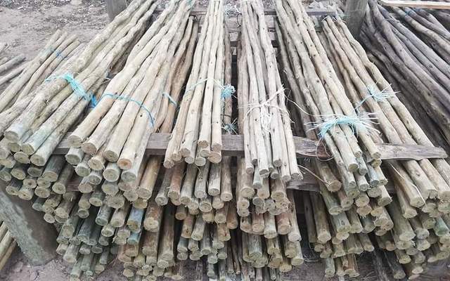 Fynbos_Pole_Depot_5_1612533535