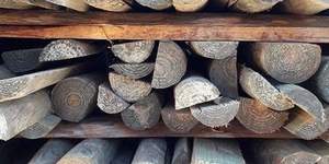 Fynbos_Pole_Depot_8_1612534075