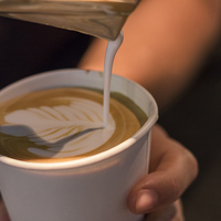 Local Coffeee - Gansbaai Food & Wine Festival - Xplorioâ„¢ Gansbaai