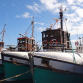 Gansbaai Harbour - Gansbaai Food & Wine Festival - Xplorioâ„¢ Gansbaai