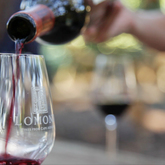 Wine Tastings - Gansbaai Food & Wine Festival - Xplorioâ„¢ Gansbaai