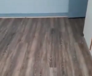 Recent Flooring Installation -Â Series 200 Vinyl