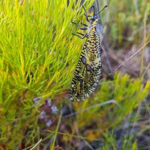 WhatsApp_Image_2021_02_22_at_11.16.54_1613990755