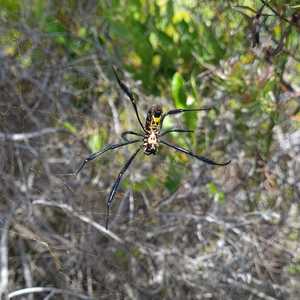 WhatsApp_Image_2021_02_22_at_11.16.54_1_1613990756