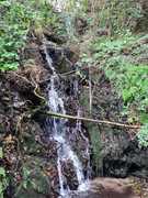 Exploring the hills and valleys surrounding Gansbaai!