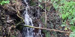 WhatsApp_Image_2021_02_22_at_11.16.55_2_1613990757