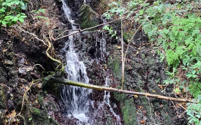 WhatsApp_Image_2021_02_22_at_11.16.55_2_1613990757