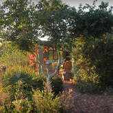 Outside View - Vleiroos Cottage @ Sandberg Fynbos Reserve - Xplorioâ„¢ Gansbaai
