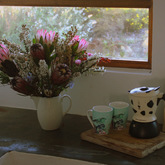 Kitchen - Vleiroos Cottage @ Sandberg Fynbos Reserve - Xplorioâ„¢ Gansbaai