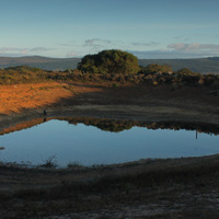 Swimming Dam Near Cottage - Vleiroos Cottage @ Sandberg Fynbos Reserve - Xplorioâ„¢ Gansbaai