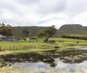 Explore Stanford Hills