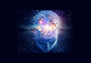 Upcoming Workshops in Hermanus and Online