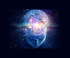 Upcoming Workshops in Hermanus and Online