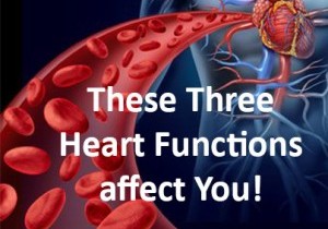 Your Heart Is Not Merely A Pump