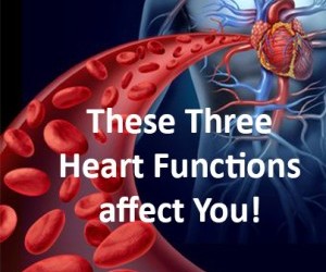 Your Heart Is Not Merely A Pump