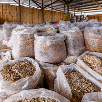 Pine Wood Shavings - Agulhas Biomass Fuel - Xplorioâ„¢ Bredasdorp