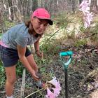 March Lilies - Beloftebos Farm Cottages - Xplorioâ„¢ Stanford