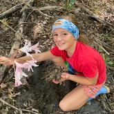 March Lilies - Beloftebos Farm Cottages - Xplorioâ„¢ Stanford