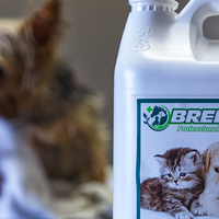 Pet Products - Claws & Paws - Xplorioâ„¢ Gansbaai