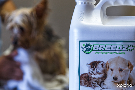 animal_pet_care_pet_parlourclaws_and_paws_10_LowRez_1614757003