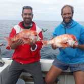 Boat Angling Trip - Awesome Charters - Xplorioâ„¢ Agulhas/Struisbaai
