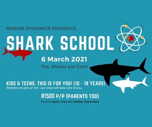 Shark School -Â 6 March 2021