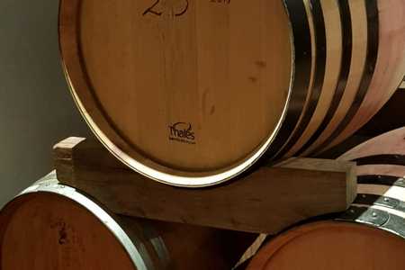 WhatsApp_Image_2021_03_08_at_09.11.19_1__1615188653