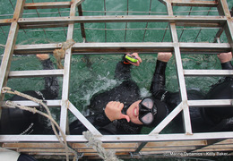 Daily Blog: 08 March 2021 | Shark Cage Diving in South Africa