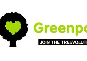 The Reforest Fest at Platbos Forest