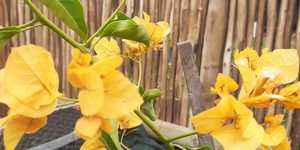 WhatsApp_Image_2021_03_11_at_18.17.10_3_1615533651