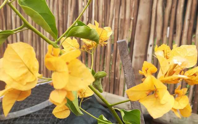 WhatsApp_Image_2021_03_11_at_18.17.10_3_1615533651