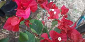 WhatsApp_Image_2021_03_11_at_18.17.11_2_1615533652