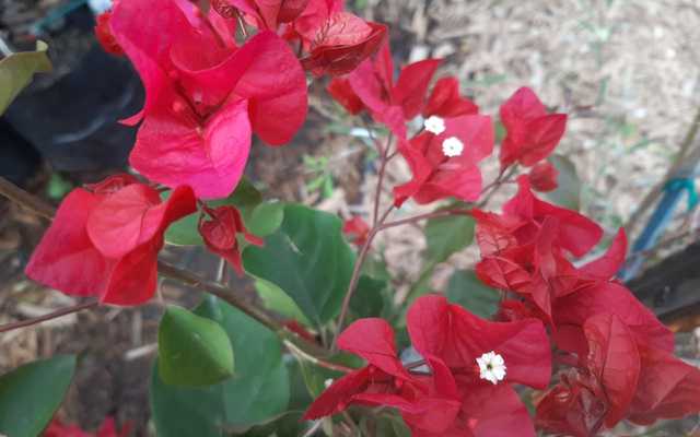 WhatsApp_Image_2021_03_11_at_18.17.11_2_1615533652