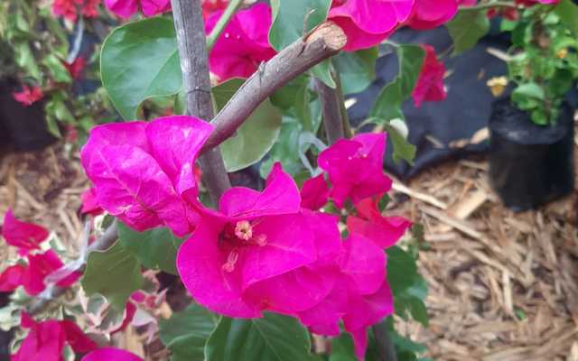 WhatsApp_Image_2021_03_11_at_18.17.11_3__1615533821