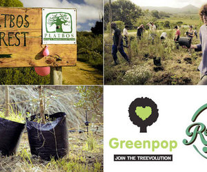 Go Green - Gansbaai Weekend Inspiration