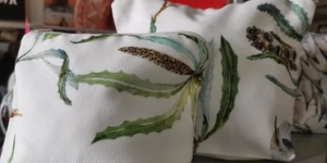 159927449_3639656462823727_8688475506750502749_n_1615798547