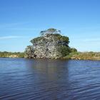 Nuwejaars River for Canoeing and Birding - Agulhas National Park - Xplorioâ„¢ L'Agulhas