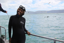 Daily Blog: 21 March 2021 | Shark Cage Diving in South Africa